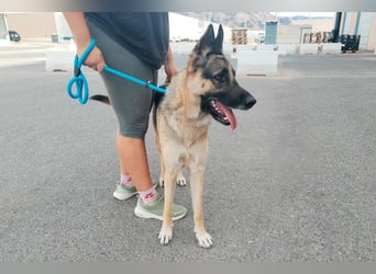 Libertad, eine Schönheit auf Körbchensuche