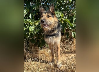 Luca