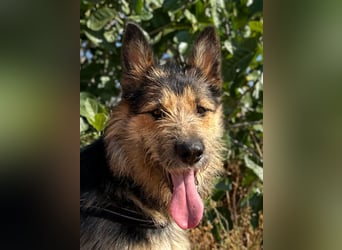Luca