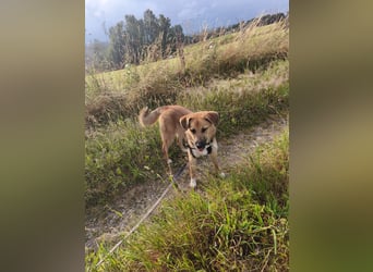Bianca liebt Kinder und ist zu allem freundlich
