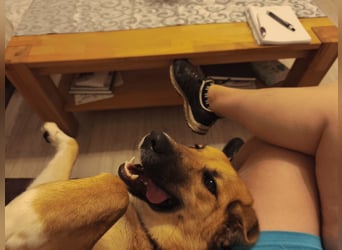 Bianca liebt Kinder und ist zu allem freundlich