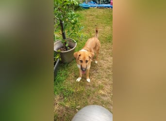Bianca liebt Kinder und ist zu allem freundlich