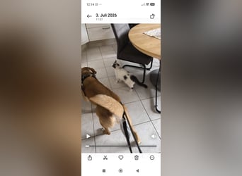 Bianca liebt Kinder und ist zu allem freundlich