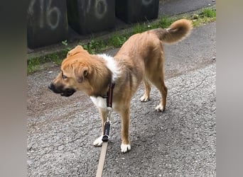 Bianca liebt Kinder und ist zu allem freundlich