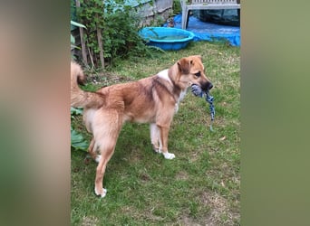 Bianca liebt Kinder und ist zu allem freundlich