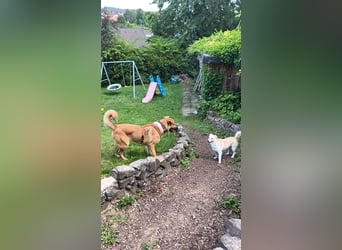 Bianca liebt Kinder und ist zu allem freundlich