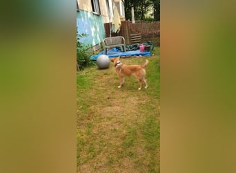 Bianca liebt Kinder und ist zu allem freundlich