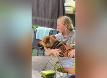 Bianca liebt Kinder und ist zu allem freundlich