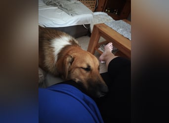 Bianca liebt Kinder und ist zu allem freundlich