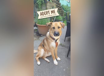 Bianca liebt Kinder und ist zu allem freundlich