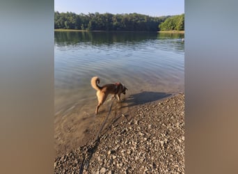 Bianca liebt Kinder und ist zu allem freundlich