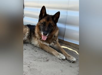 Timo-KK - will endlich ankommen ♥