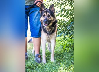 Blacky SI - verträglich, lieb