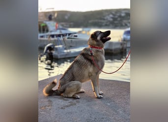 MARLY sucht sein Glück❤️