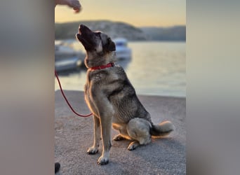 MARLY sucht sein Glück❤️