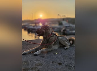 MARLY sucht sein Glück❤️