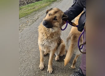 Lotta ein wundervolles Wesen