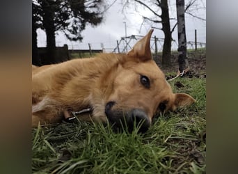 Morty ein wundervolles Wesen