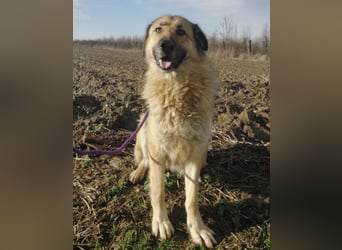 Lotta ein wundervolles Wesen