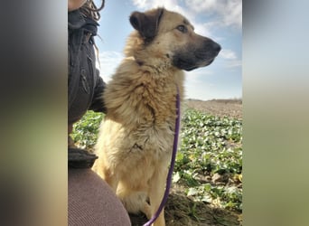 Lotta ein wundervolles Wesen