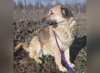 Lotta ein wundervolles Wesen