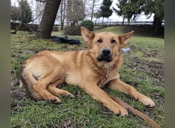 Morty ein wundervolles Wesen