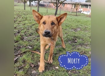 Morty ein wundervolles Wesen