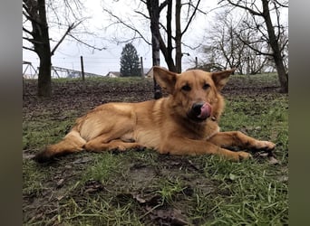 Morty ein wundervolles Wesen