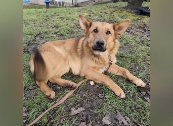 Morty ein wundervolles Wesen