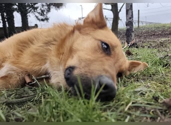 Morty ein wundervolles Wesen