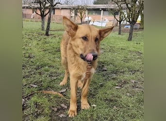 Morty ein wundervolles Wesen