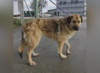 Lotta ein wundervolles Wesen