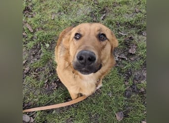 Morty ein wundervolles Wesen