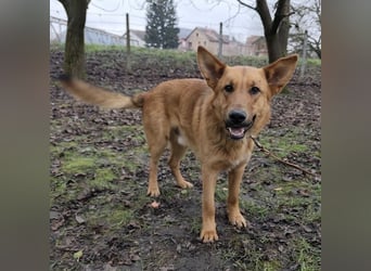 Morty ein wundervolles Wesen