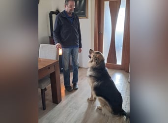 Aron ein gutmütiger großer Bub