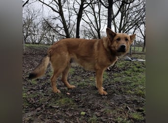 Morty ein wundervolles Wesen