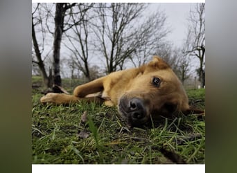 Morty ein wundervolles Wesen