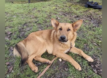 Morty ein wundervolles Wesen