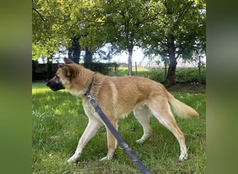Verny ein sehr lieber sportlicher Bub
