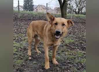 Morty ein wundervolles Wesen