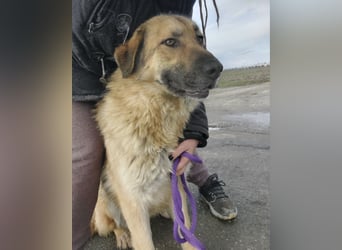 Lotta ein wundervolles Wesen