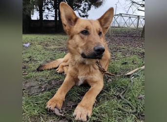 Morty ein wundervolles Wesen