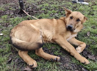 Morty ein wundervolles Wesen