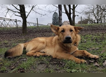 Morty ein wundervolles Wesen