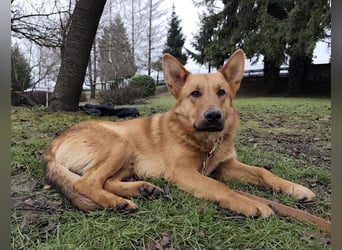 Morty ein wundervolles Wesen