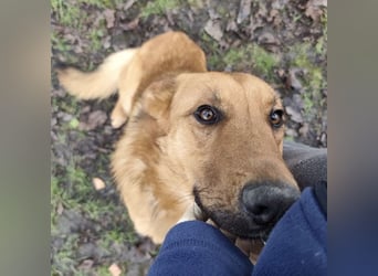 Morty ein wundervolles Wesen