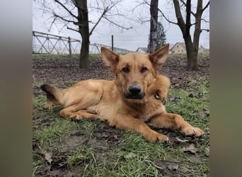 Morty ein wundervolles Wesen