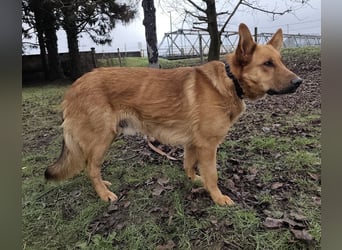 Morty ein wundervolles Wesen