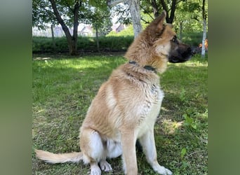 Verny ein sehr lieber sportlicher Bub