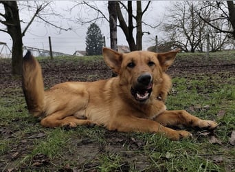 Morty ein wundervolles Wesen